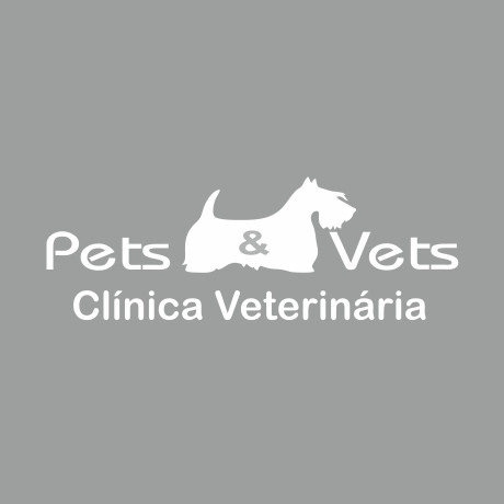 Vinil Branco Recortado 55x19cm