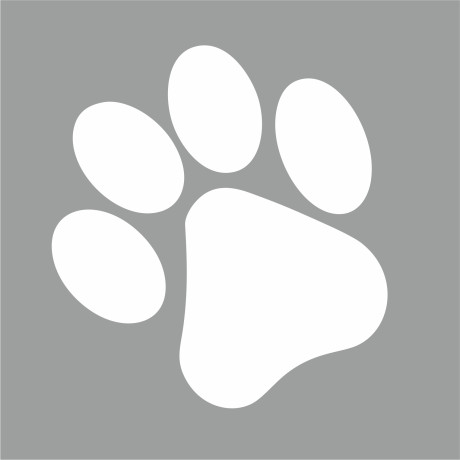 Vinil Branco Recortado 10x10cm